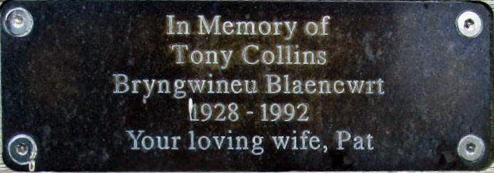 Tony Collins