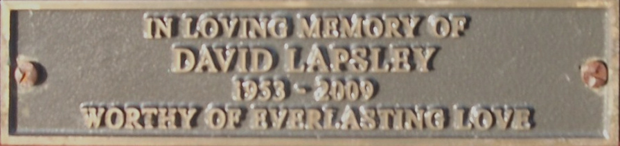 David Lapsley